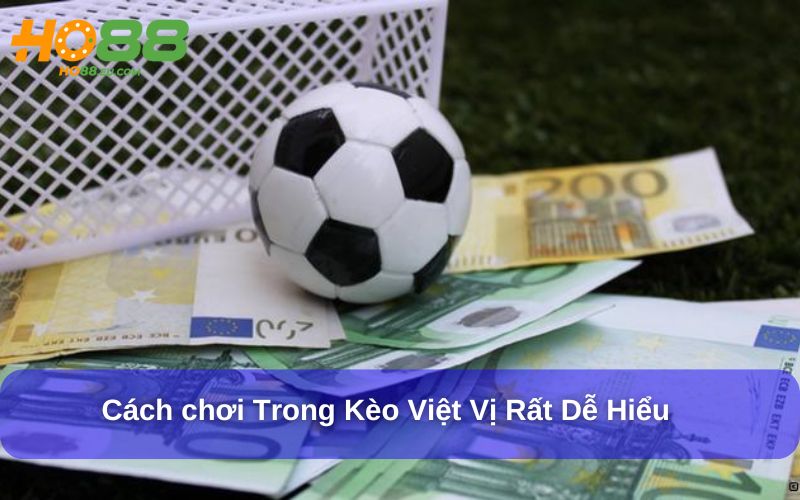 Cách chơi và luật áp dụng trong Kèo Việt Vị rất dễ hiểu Cách chơi và luật áp dụng trong Kèo Việt Vị rất dễ hiểu