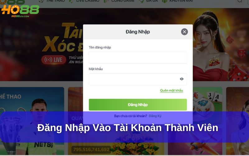 Đăng nhập vào tài khoản thành viên