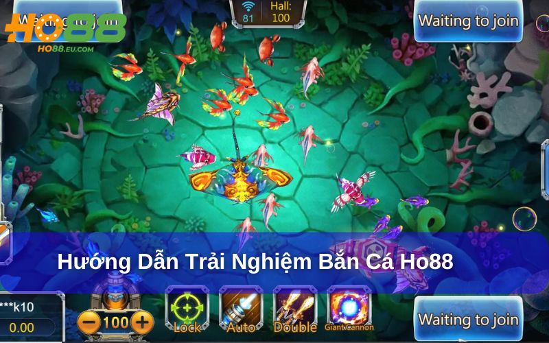 Trải nghiệm Bắc Cá Ho88 dễ dàng chỉ với vài thao tác Trải nghiệm Bắc Cá Ho88 dễ dàng chỉ với vài thao tác