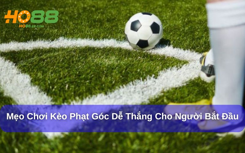 Người chơi nên áp dụng các mẹo khi chơi Kèo Phạt Góc Người chơi nên áp dụng các mẹo khi chơi Kèo Phạt Góc