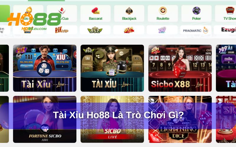 Tài xỉu Ho88 thú vị và mang lại giải trí cao Tài xỉu Ho88 thú vị và mang lại giải trí cao