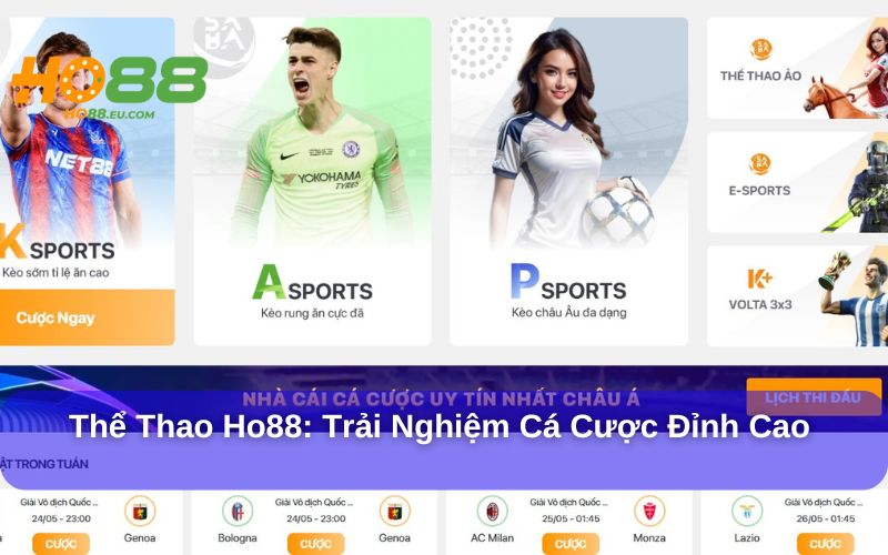 Thể Thao Ho88 mang đến sự phong phú cho người chơi