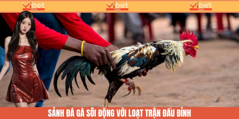 Sample Page 9 Loạt trận đấu đỉnh cao trong sảnh đá gà